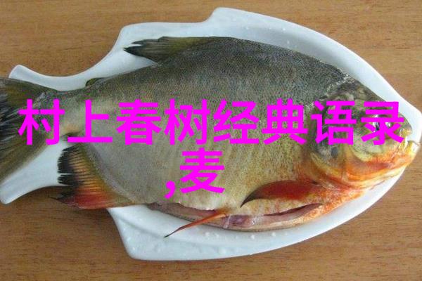 一夜入冬的经典语录记我这次深夜漫步的心事