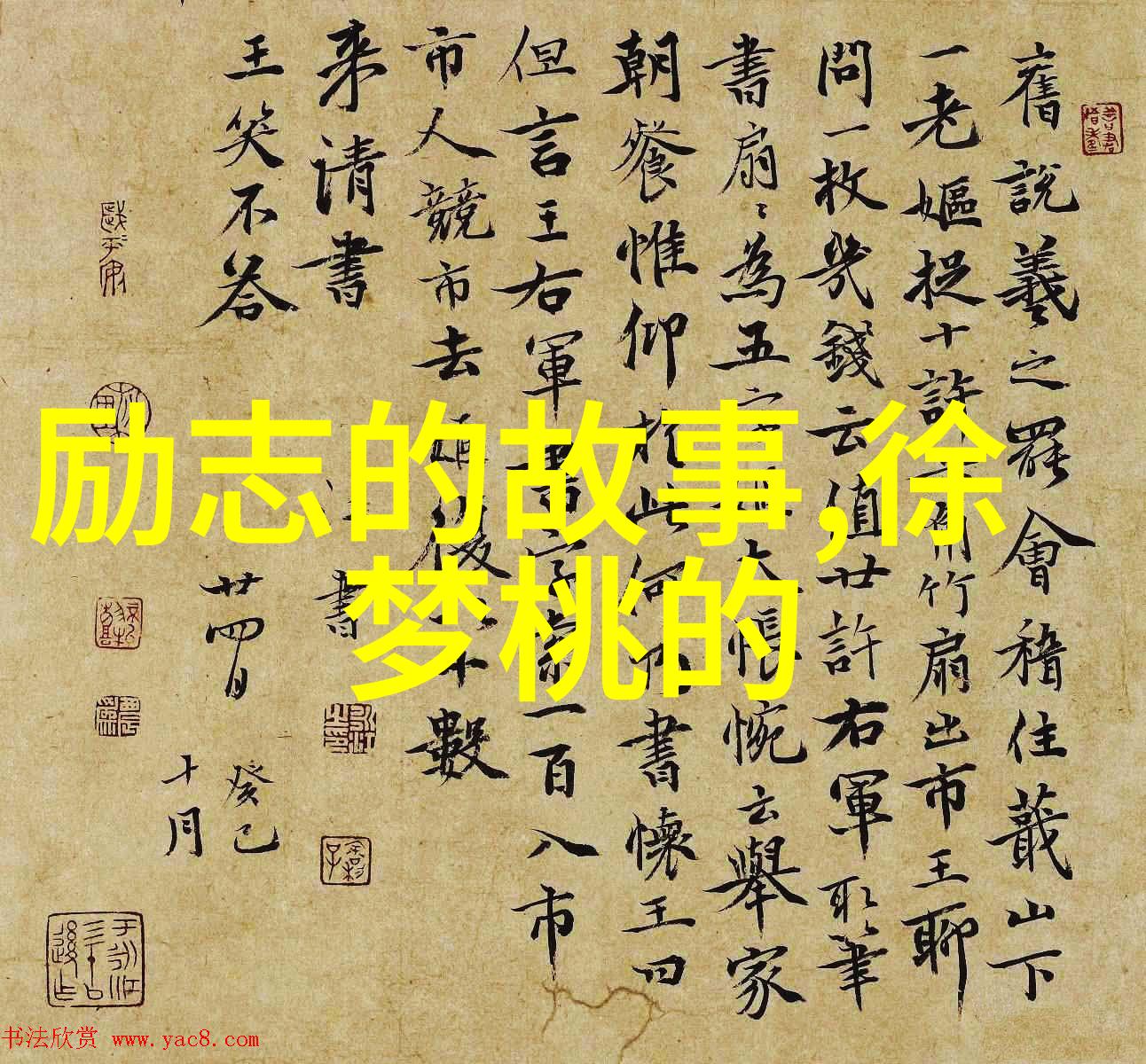 大S出入的男人七姐妹x爱派对中的物品被家暴