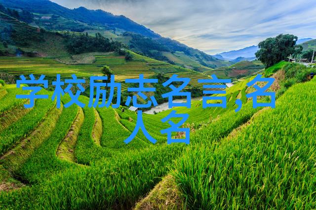 中国90后励志传奇追梦者的力量
