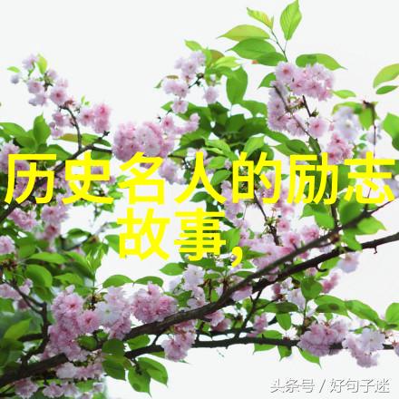 穿越时空的公主与她的七次变身