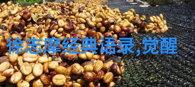 十位英杰传说英雄人物素材摘抄