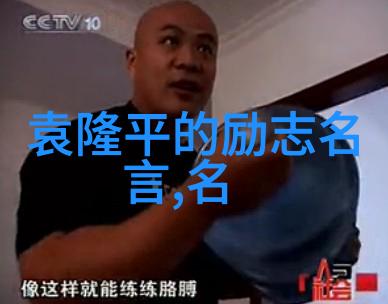董宇辉的沉默之谜经典语录背后的神秘世界