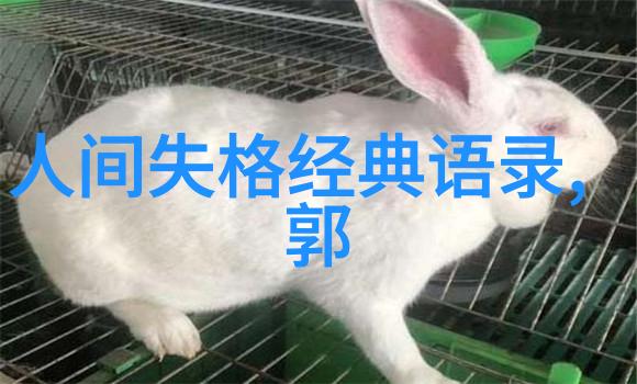 催泪励志视频我爸妈的辛酸史从一无所有到家徒四壁