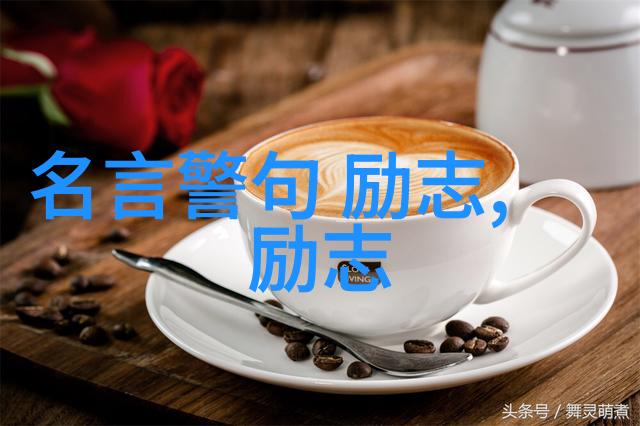 经典甜言蜜语爱情公寓中的情感智慧