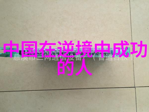夫妻婚姻挽救揭秘家暴真相界定边界