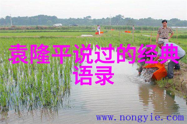 八字励志名言名句大全-命运在掌控之中解读八字智慧的励志故事