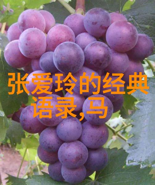 励志寓言故事-逆袭之鹰与鸡从低谷到巅峰的不懈追梦