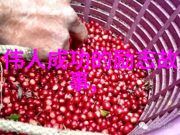 挑战极限追求卓越袁隆平成长故事
