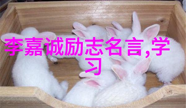鸡年春晚家庭大杂乱经典语录的欢声笑语
