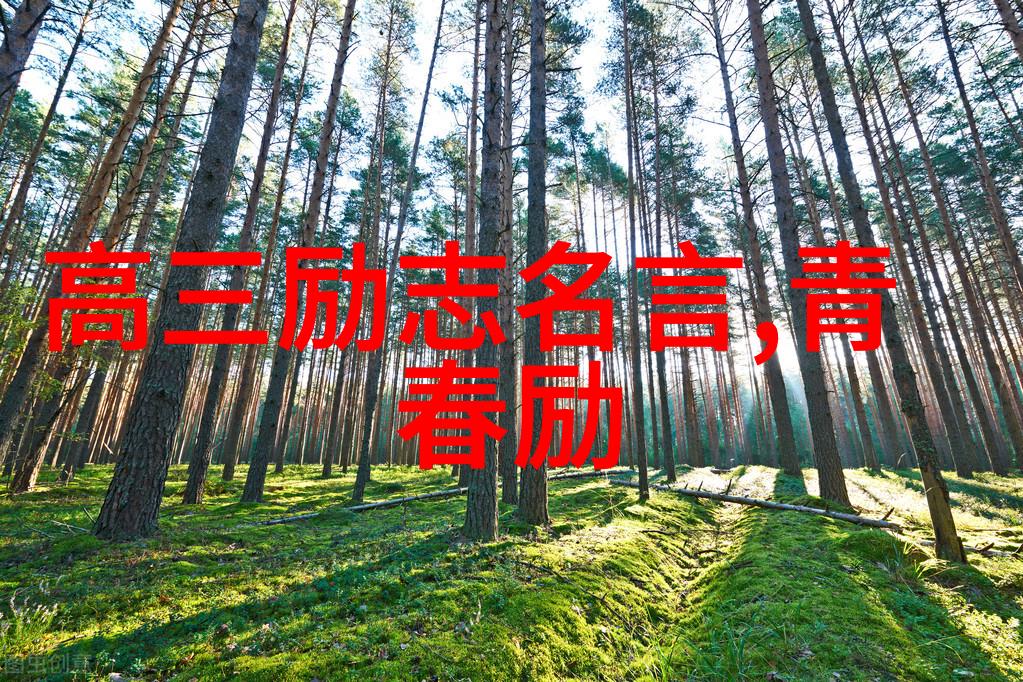 15个励志人物小故事阅历让才华更持久的温暖回忆