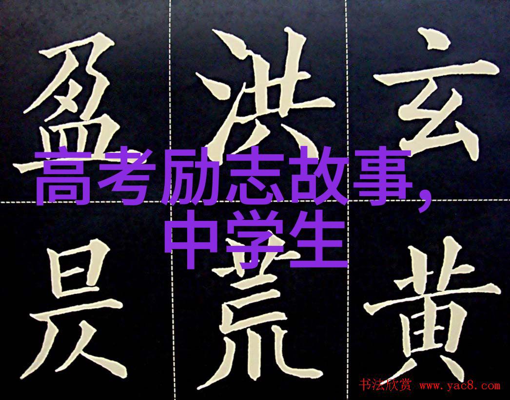 偶像背后的故事从粉丝到英雄的奇迹之旅