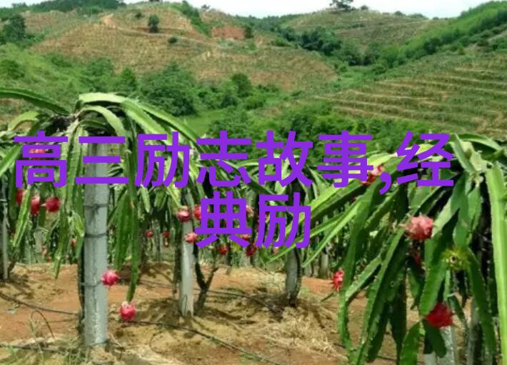 中国小城里的书店老板怎样激发孩子们对阅读的热情