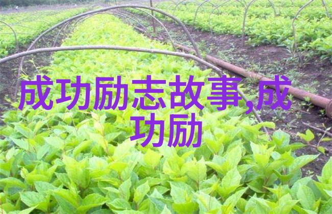 老公如何面对出轨俱乐部的挑战