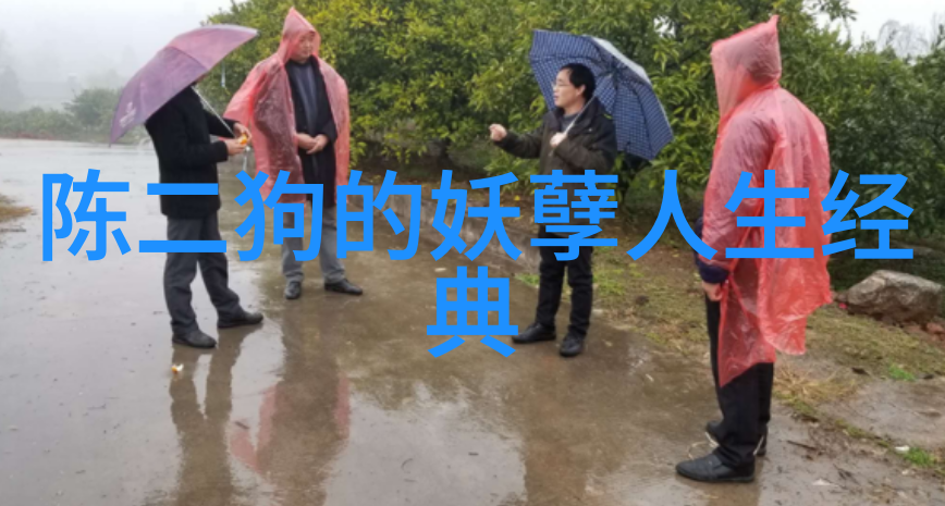 15秒人生感悟瞬间的智慧