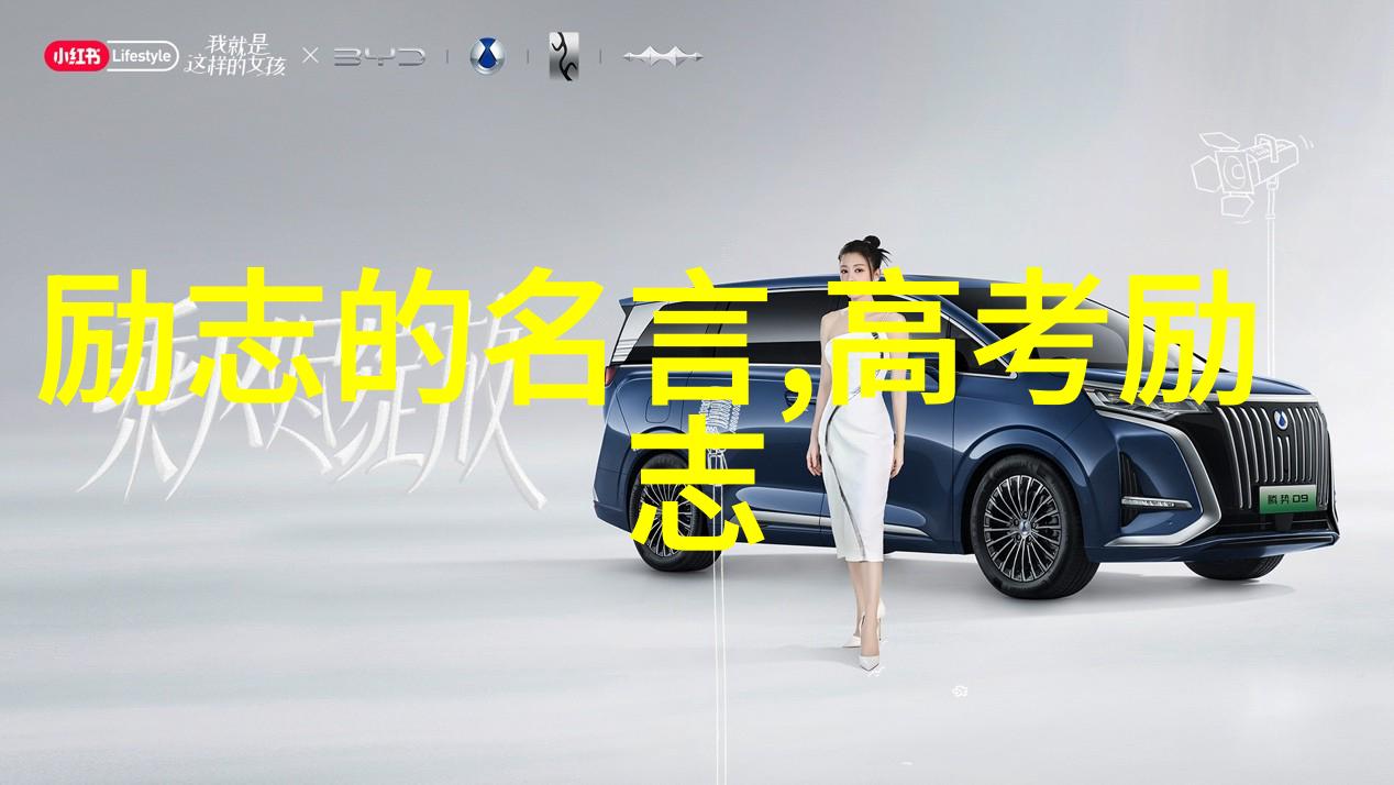 不识字的书生一段逆袭的奇迹