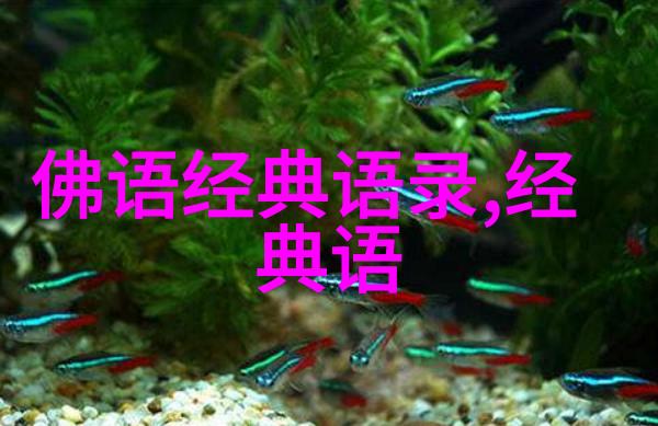 山巅之光一位小村女的逆袭之谜