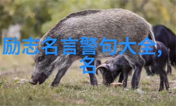 当我爱上你的时候我整个世界都崩塌了这就是我们的故事