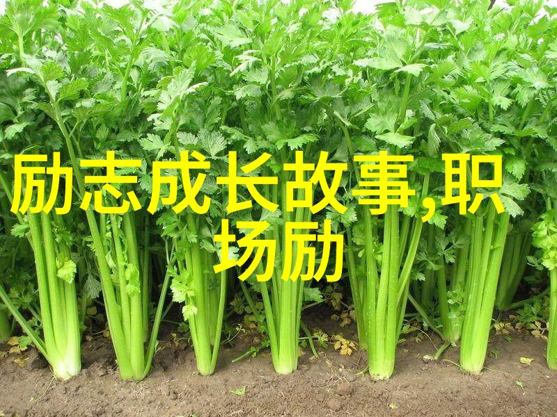 文化分享-化物语小说下载探索人类内心的深渊