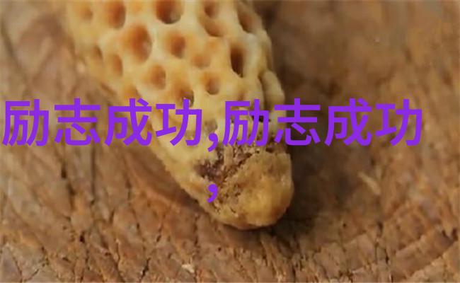 逆袭的灯塔从底层工人到企业家巨擘的传奇历程