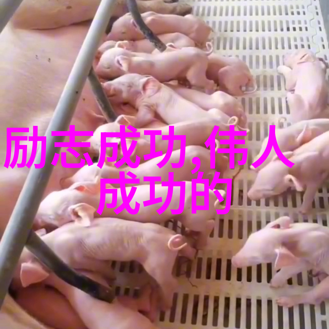 励志人生格言100句经典短句激励语录