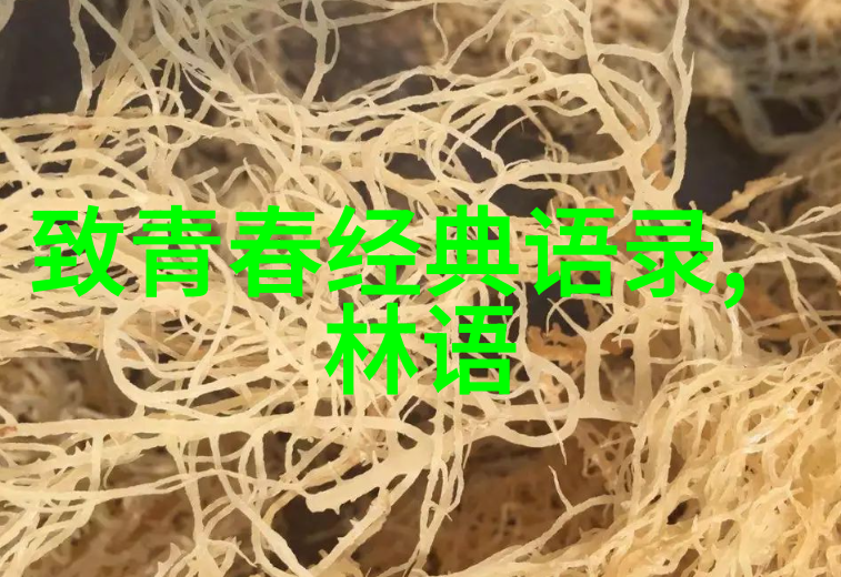 婆媳和谐共处的六大法则婆媳的战国电视剧全集保安守护幸福家园