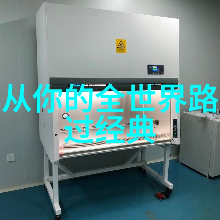 青春启示录岁月的回声
