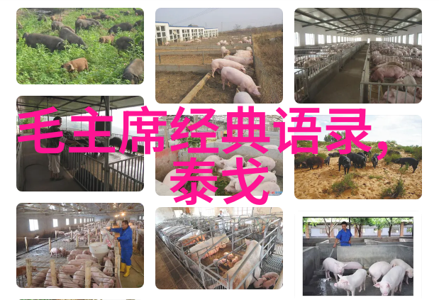 名人启示录15个激励人心的成功故事