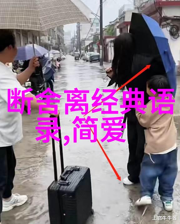 一夜入冬的经典语录我说了算那就快点儿把窗帘拉上