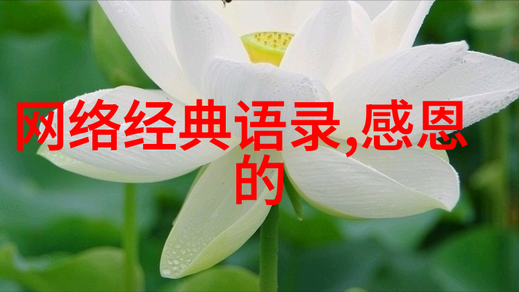 愿你在自然的怀抱中安好go9go友情链接平台相伴永远
