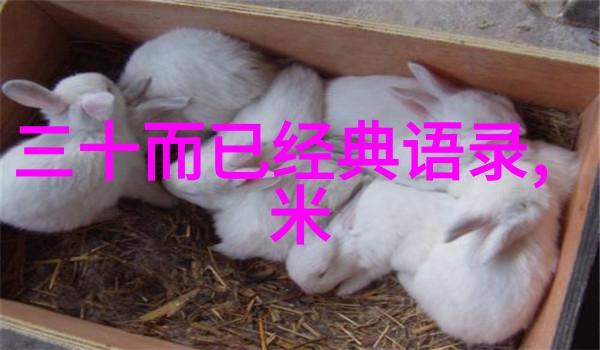 朋友杂谈友情链接检测工具你用过吗