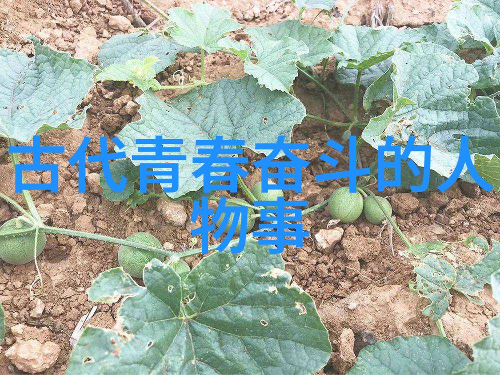 时光的孤独交响曲百年沉默的语汇回响