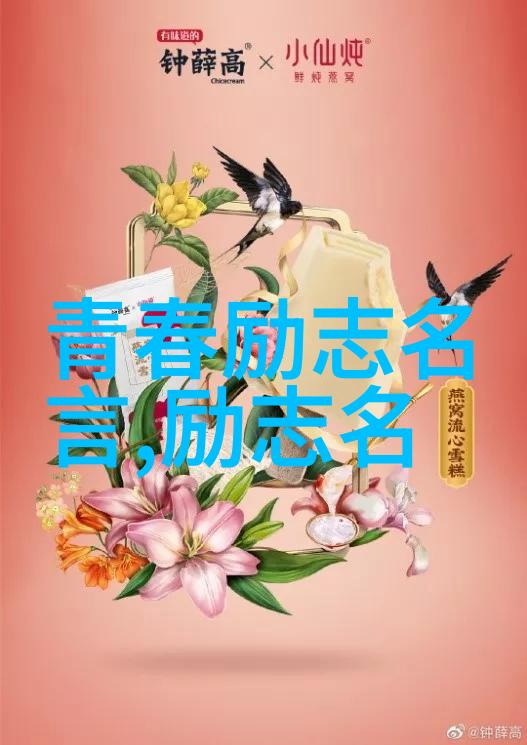 勇攀高峰无惧失败杰夫贝索斯亚马逊传奇