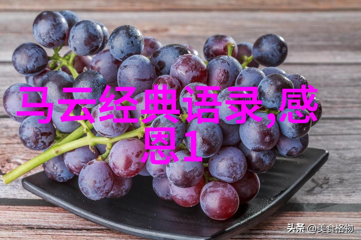 篮球励志名言 - 科比布莱恩特从梦想的起点到巅峰的征途