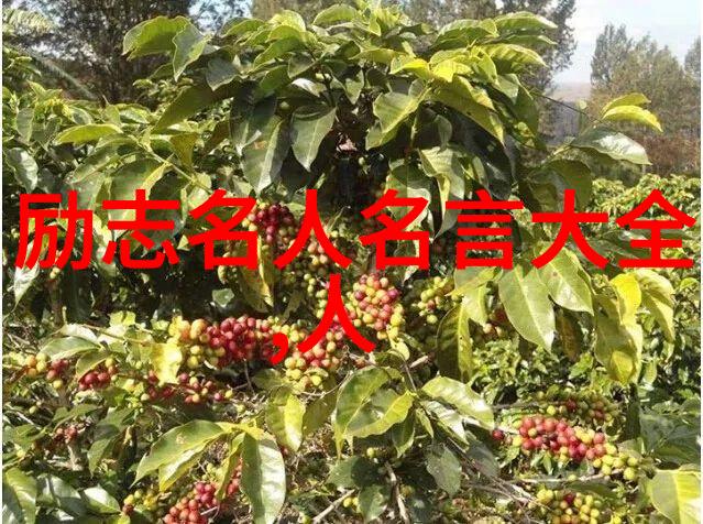 夫妻感情破裂的说说揭秘家庭暴力对女性深远伤害及时干预之道