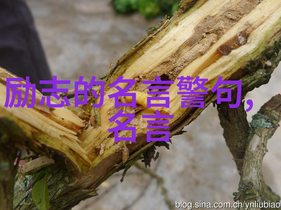 逆袭的先锋李开复的数字梦想