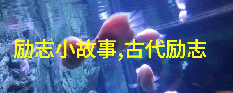 15秒内激励自我的微短视频创作艺术