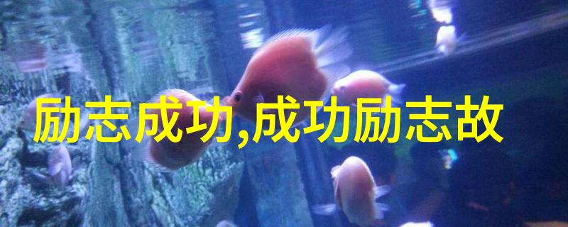 夫妻离婚法律咨询揭秘渣男背后识破家暴潜在者