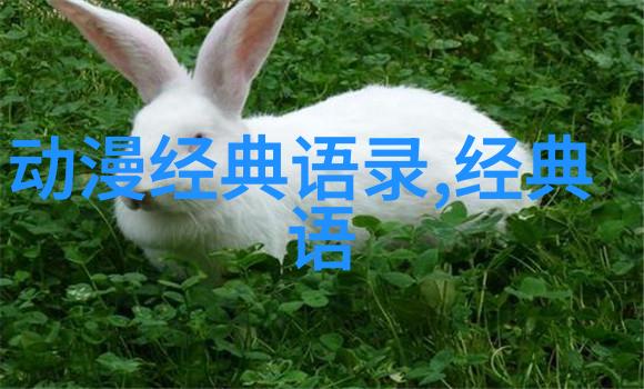 体育界最励志的人我心中的英雄从低谷到巅峰的无声力量