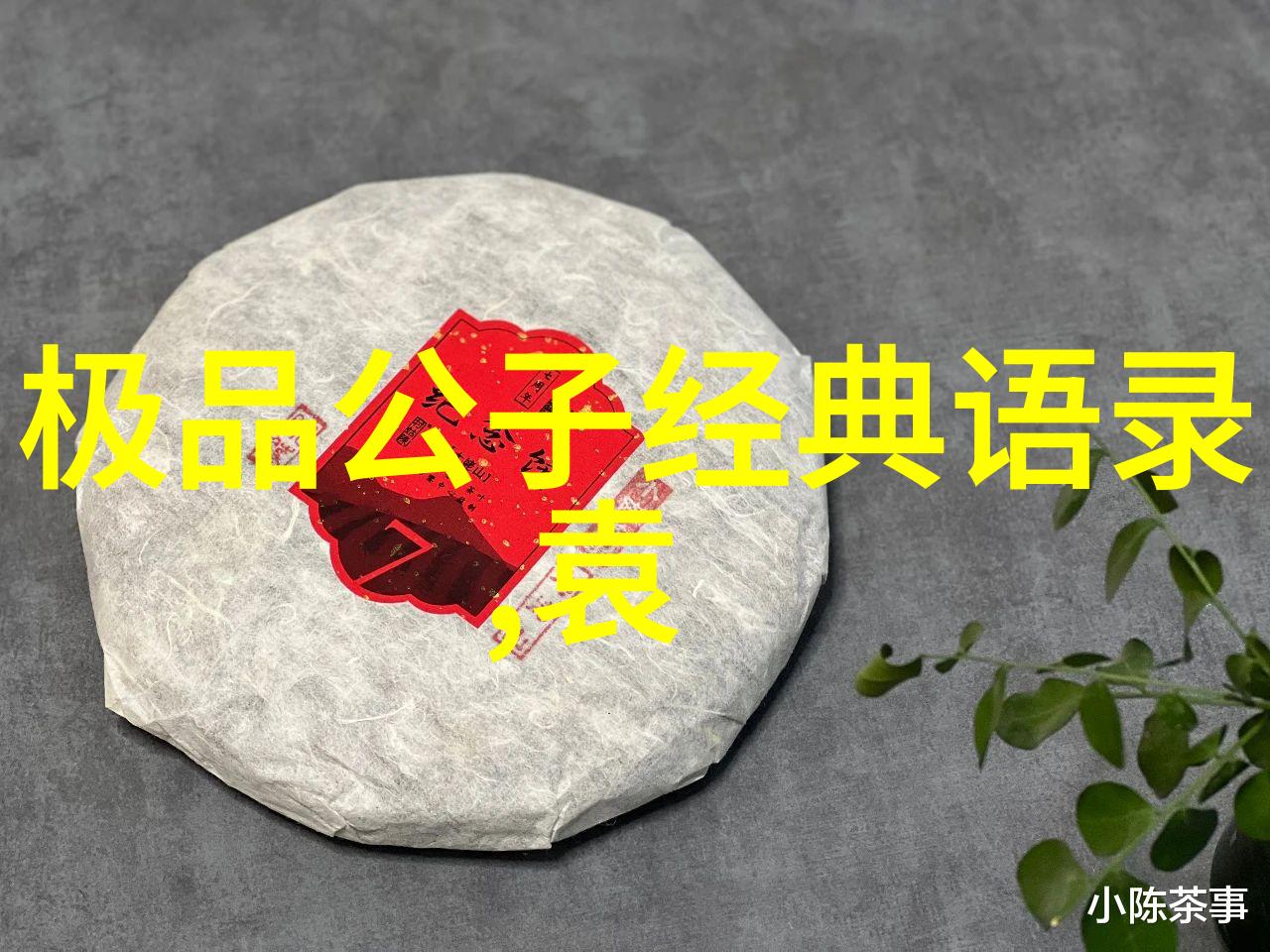 婆媳的战国时代四十集掌握处理婆媳关系的奥秘才能避免那场史无前例的大战