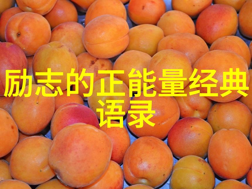家是从心出发的地方身边人对家的理解