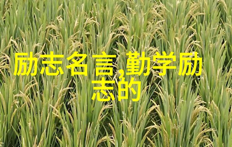 撩人的情话把女朋友撩到湿透的土味情话发完她直呼受不了
