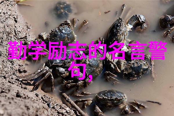 如何将传统文化中的古代名言融入现代教育中以达到启发作用