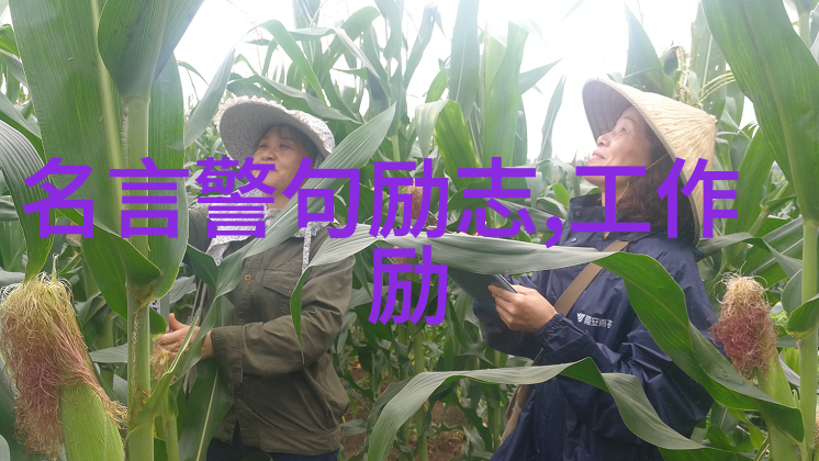 幽默励志故事 - 张小虎从街头摊贩到成功企业家之路