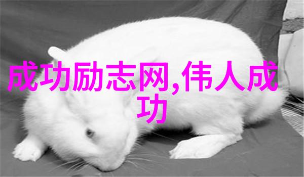 任正非2022励志青年人物的正确方向来自于对物品的妥协