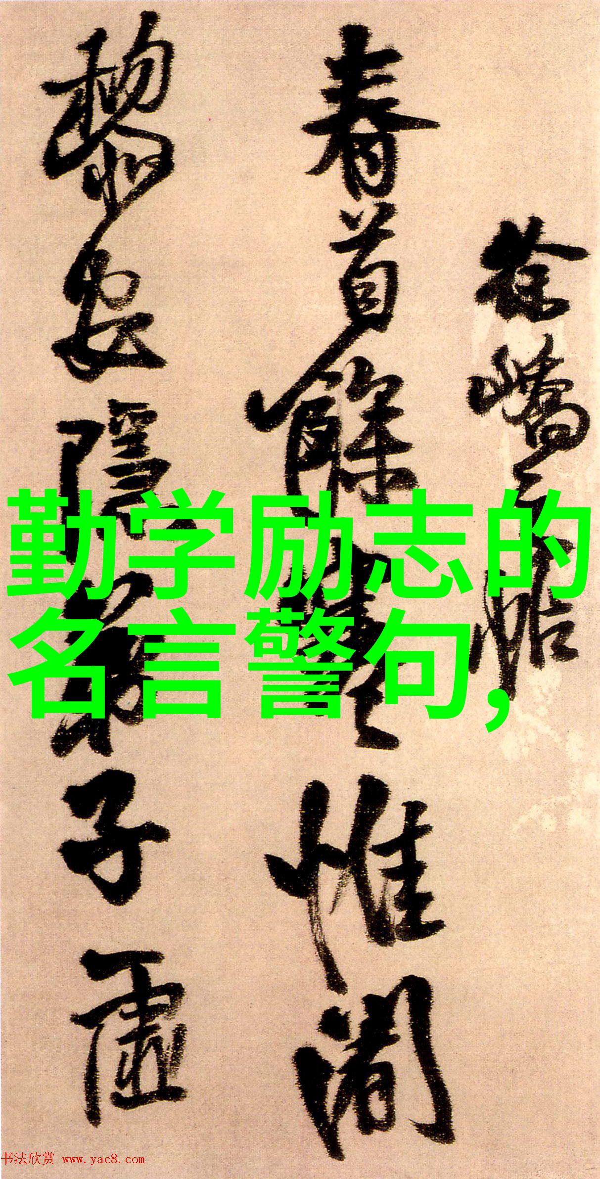 奋斗的力量李雷从零到英雄的创业奇迹