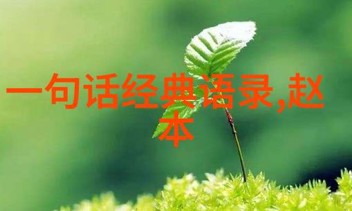 人生感悟视频素材我的故事从迷茫到坚定