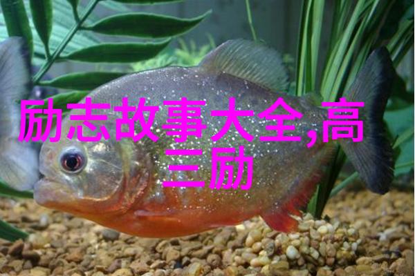 偶像的正能量背后他们是如何培养这种力量的