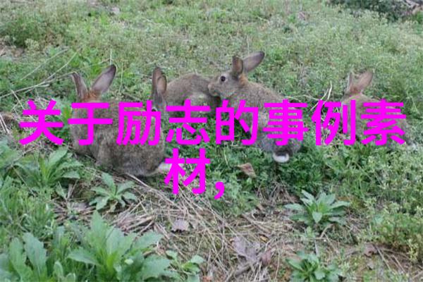 人物素材百态30个微型故事的源自生活