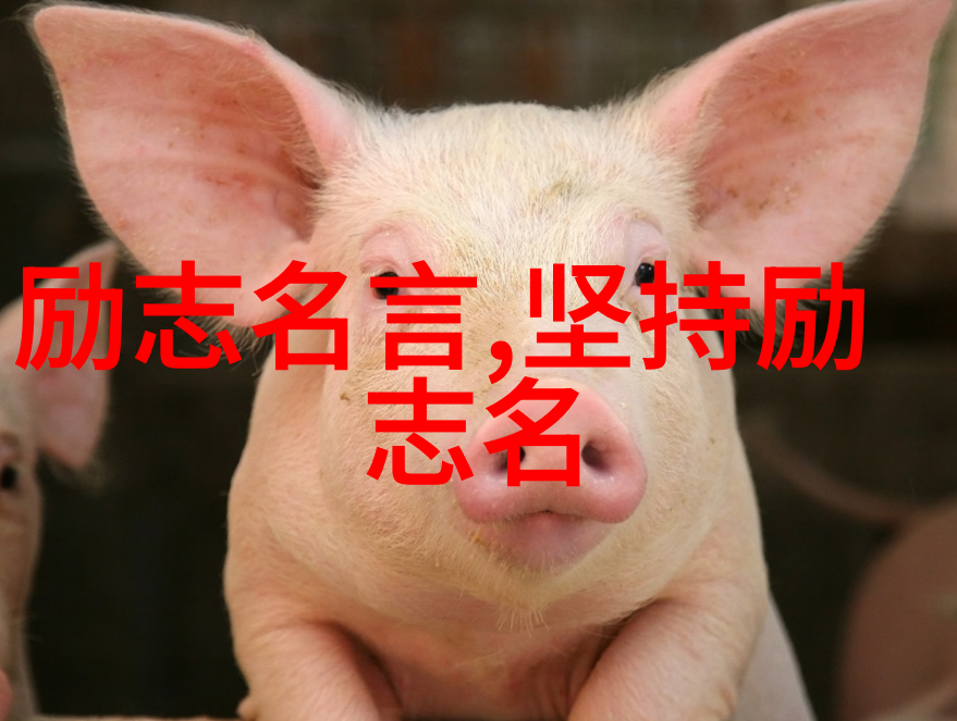中国商界领袖励志事例