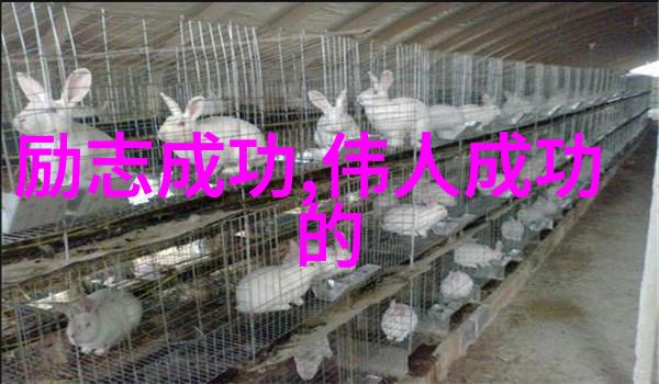 他的礼物小说免费阅读心动文学作品无限精彩